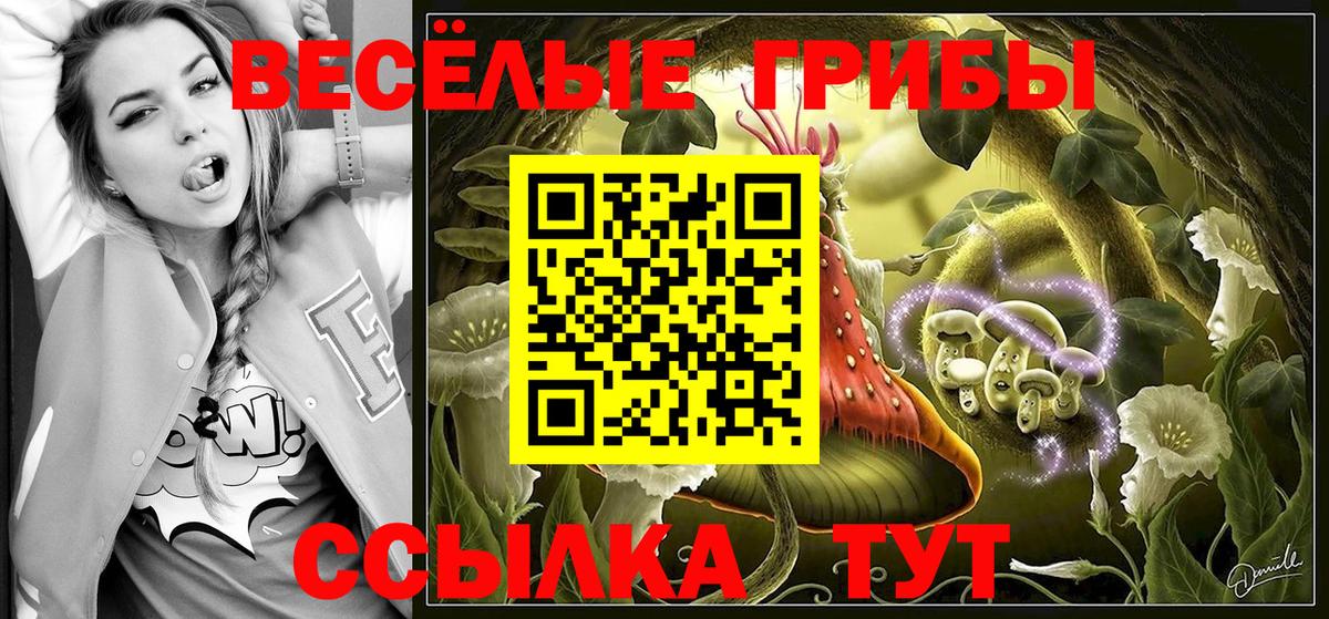Галлюциногенные грибы Psilocybine cubensis Черняховск