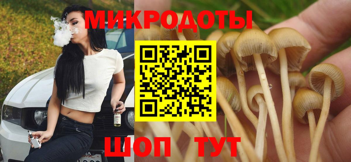 Галлюциногенные грибы прущие грибы  Вход с VPN  Черняховск  Галлюциногенные грибы Psilocybine cubensis 
